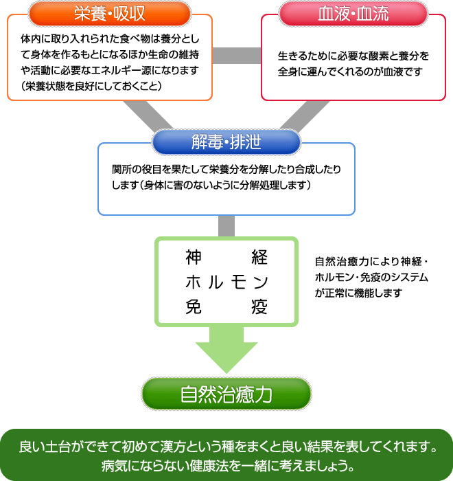 良い土台ができて初めて漢方という種をまくと良い結果を表してくれます。病気にならない健康法を一緒に考えましょう。